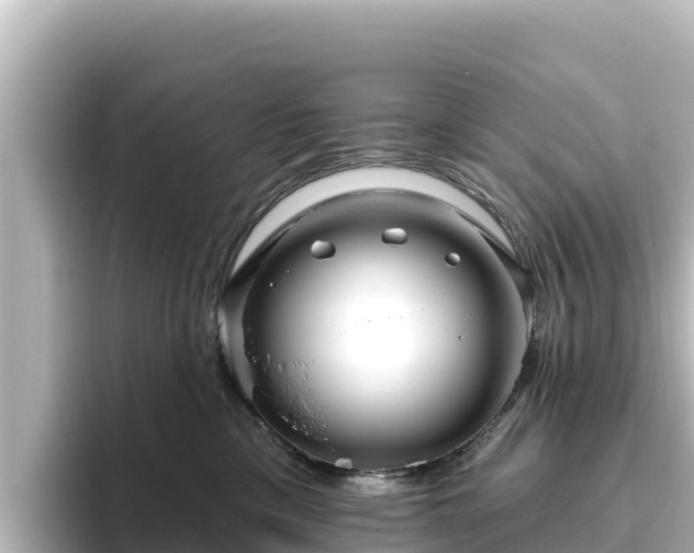 X0000096430425200801311436