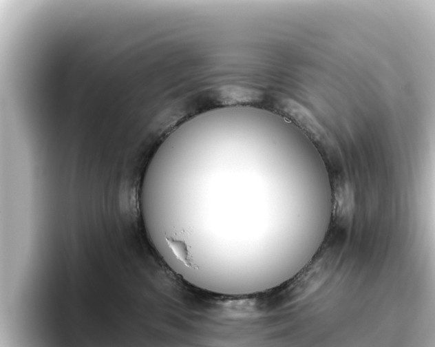 X0000096430426200801311436