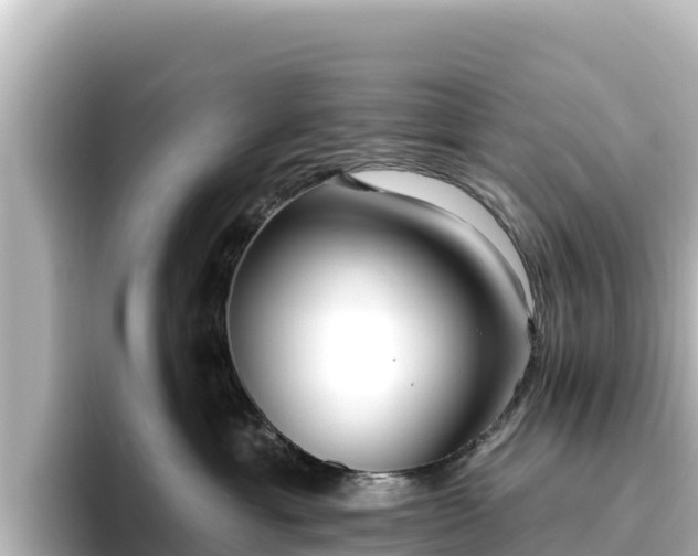 X0000096430429200801311436