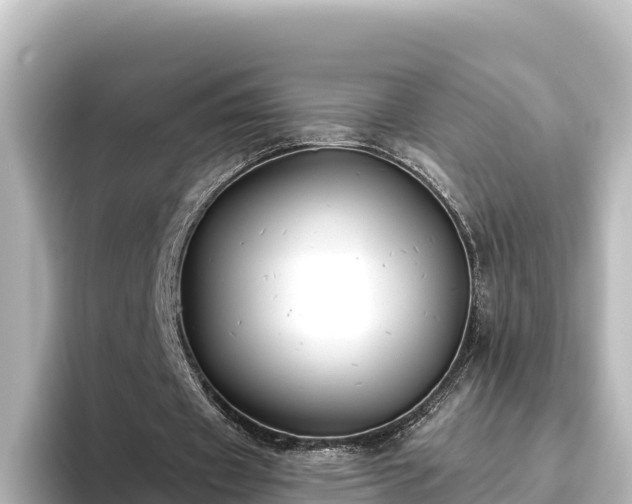 X0000096430433200801311435