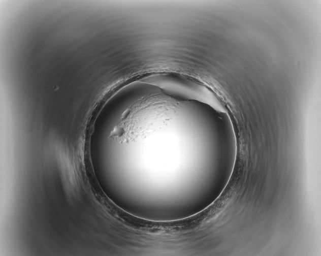 X0000096430434200801311435