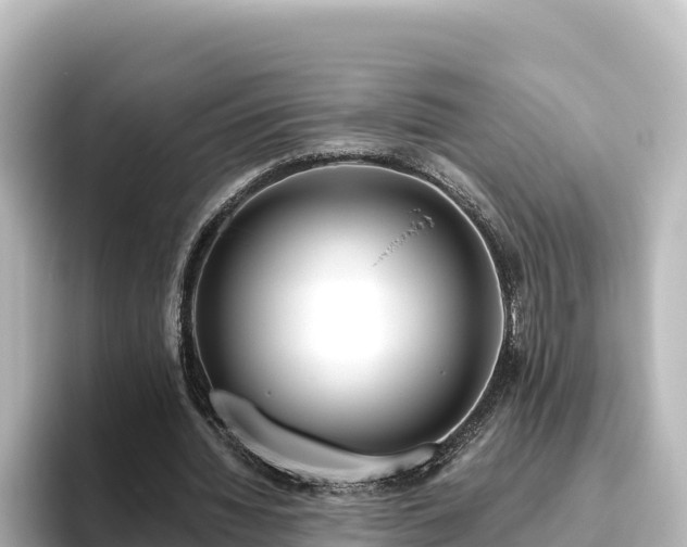 X0000096430436200801311435