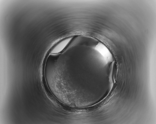 X0000096430438200801311435