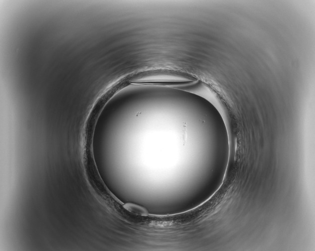 X0000096430440200801311435