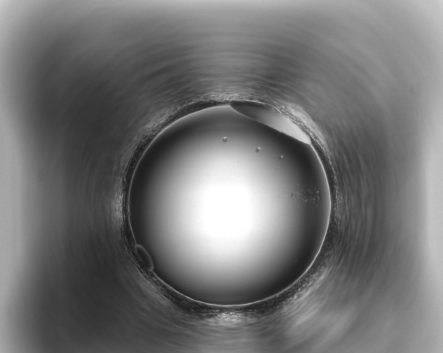 X0000096430441200801311435