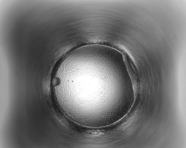 X0000096430443200801311435