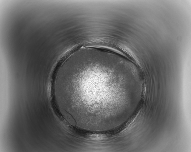 X0000096430444200801311435