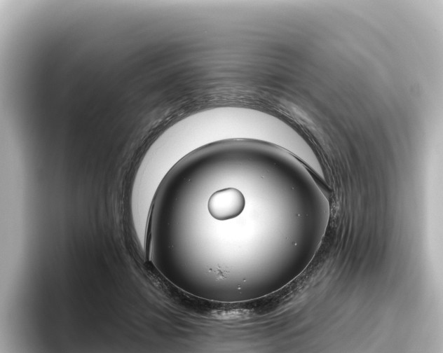 X0000096430452200801311436