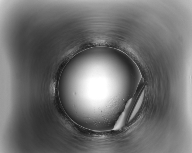 X0000096430454200801311436