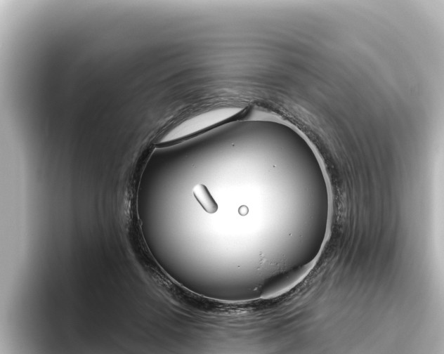 X0000096430456200801311436