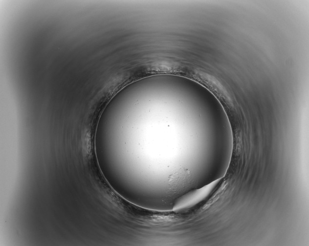 X0000096430457200801311436