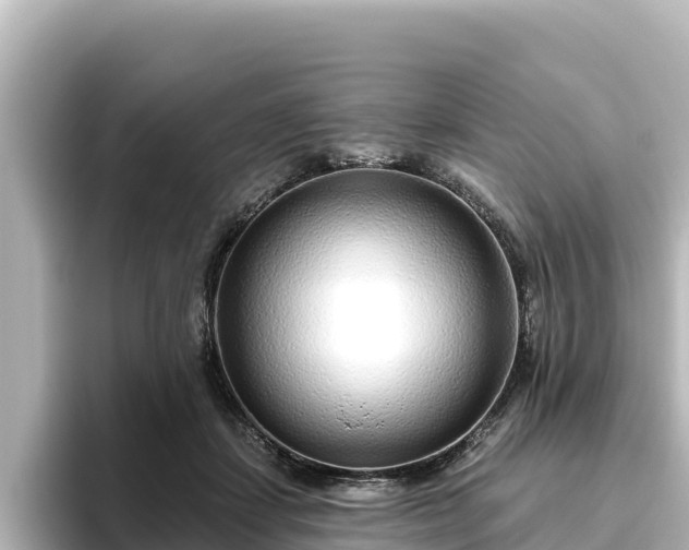 X0000096430459200801311436