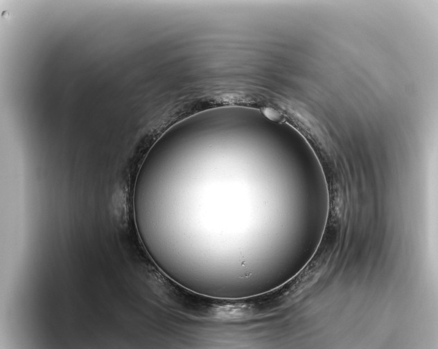 X0000096430461200801311436