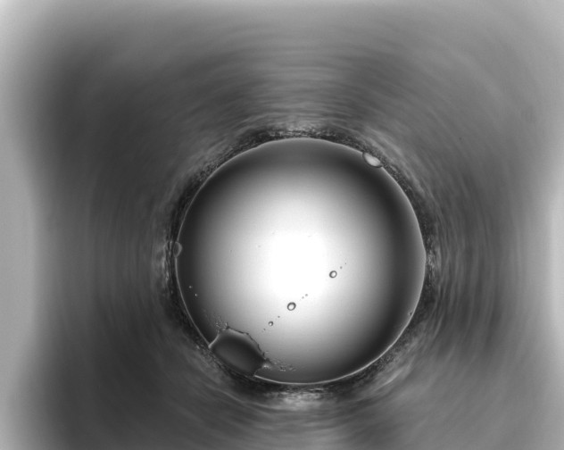 X0000096430462200801311436