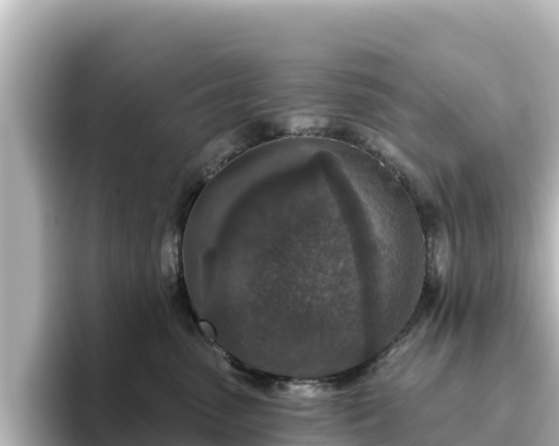 X0000096430475200801311436