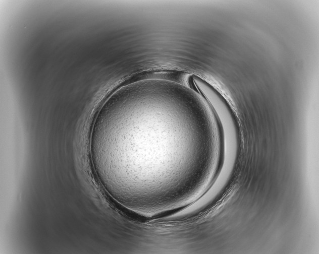 X0000096430481200801311435