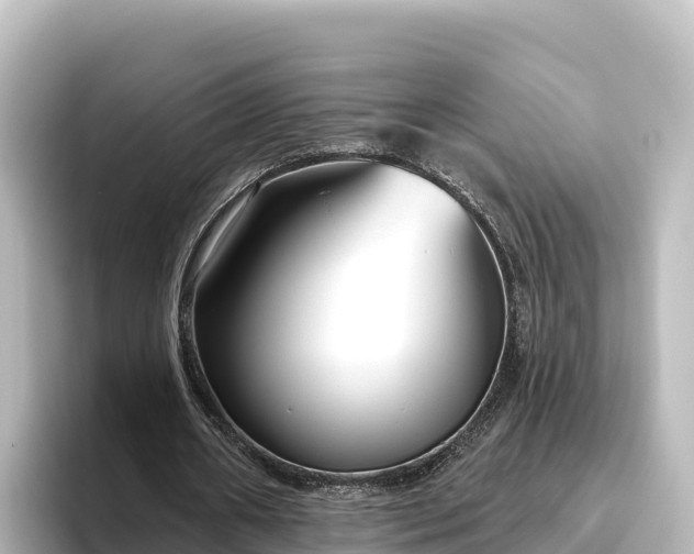 X0000096430482200801311435