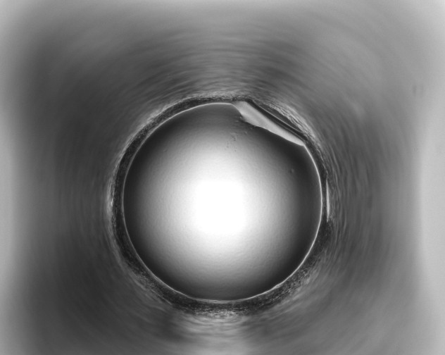 X0000096430483200801311435