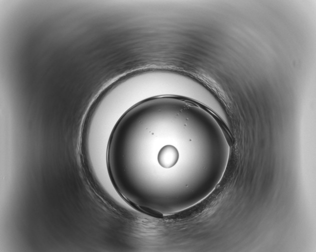 X0000096430484200801311435