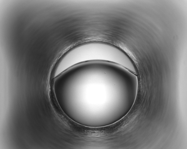 X0000096430486200801311435