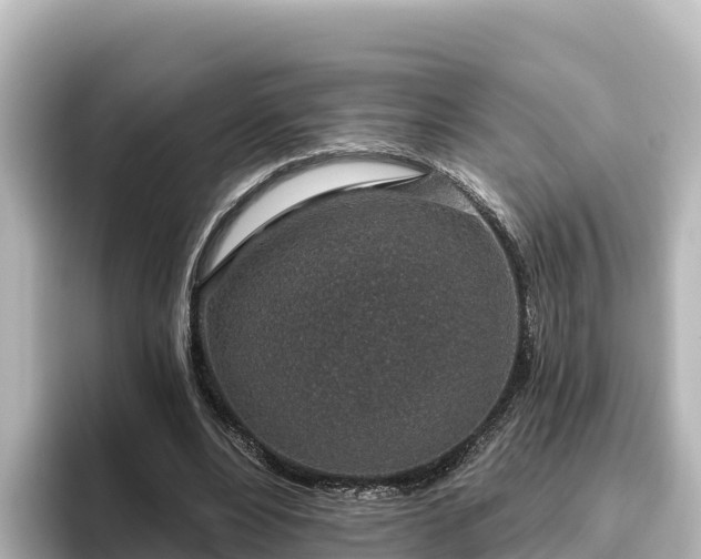X0000096430488200801311435