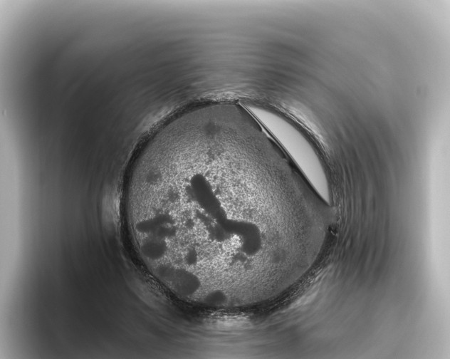 X0000096430491200801311435