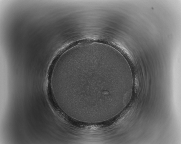 X0000096430492200801311435
