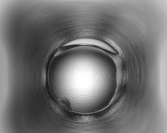X0000096430493200801311435
