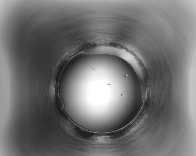 X0000096430501200801311435