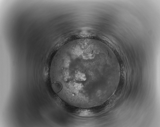 X0000096430507200801311435