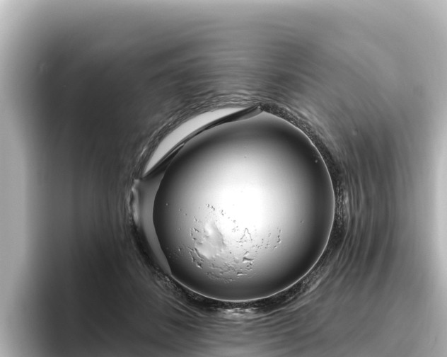 X0000096430508200801311435
