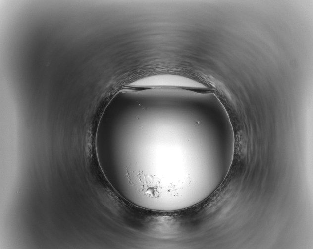 X0000096430509200801311435