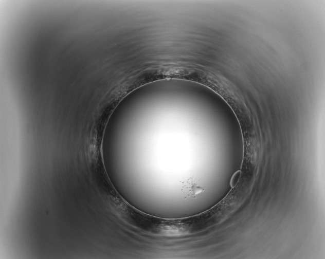 X0000096430510200801311435