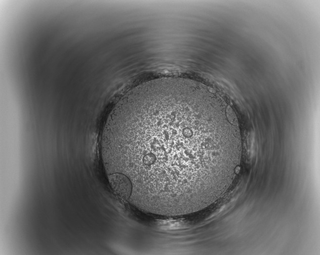 X0000096430511200801311435