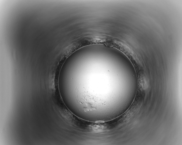 X0000096430512200801311435