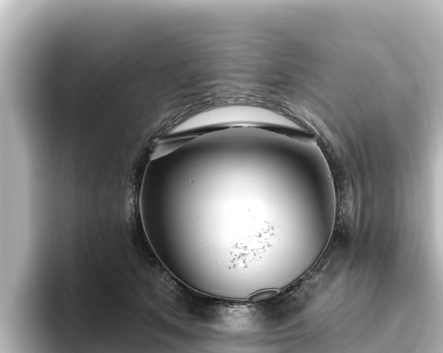X0000096430513200801311435