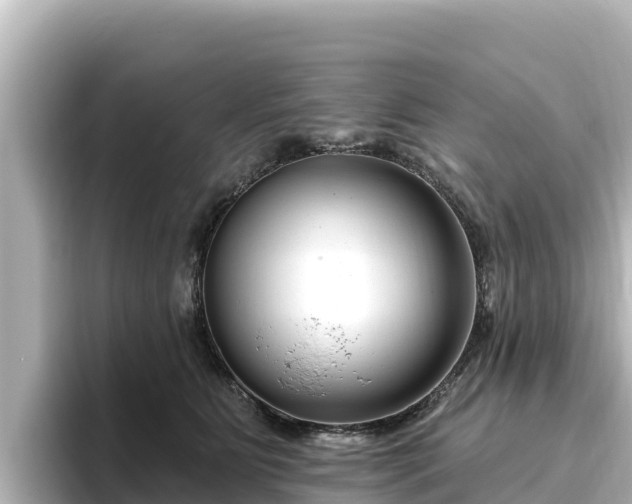 X0000096430515200801311435