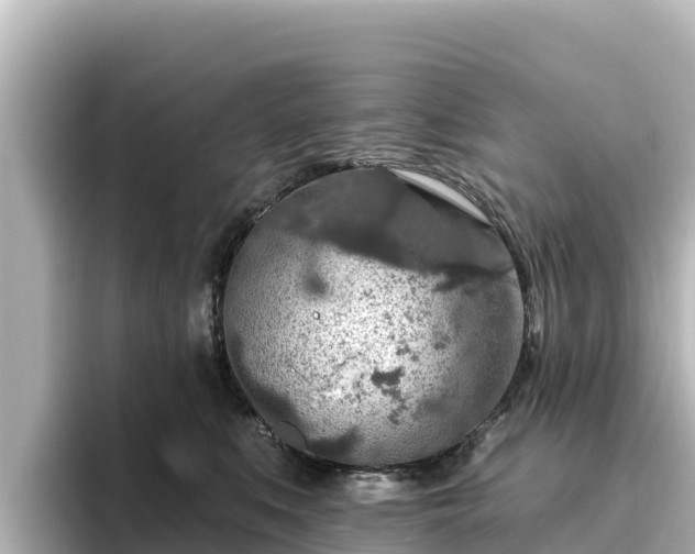 X0000096430519200801311435