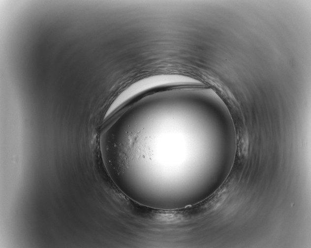 X0000096430521200801311435