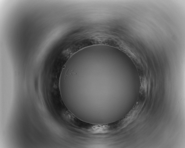 X0000096430526200801311435