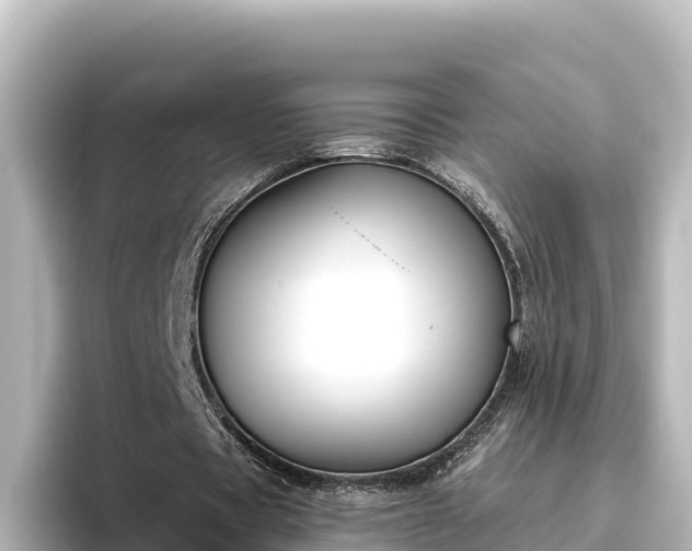 X0000096430529200801311434