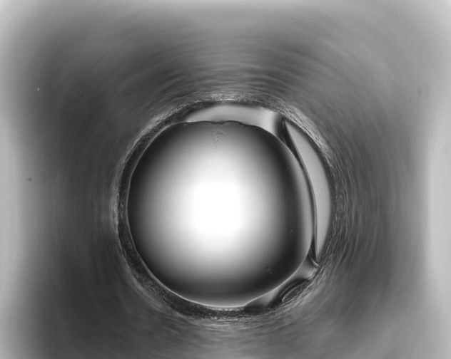 X0000096430530200801311434