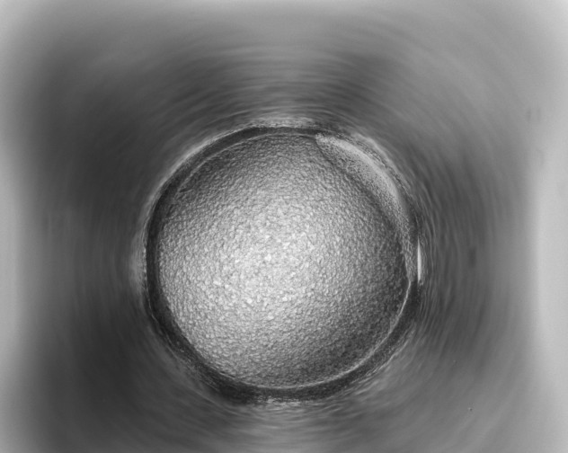 X0000096430531200801311434