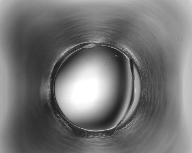 X0000096430532200801311434