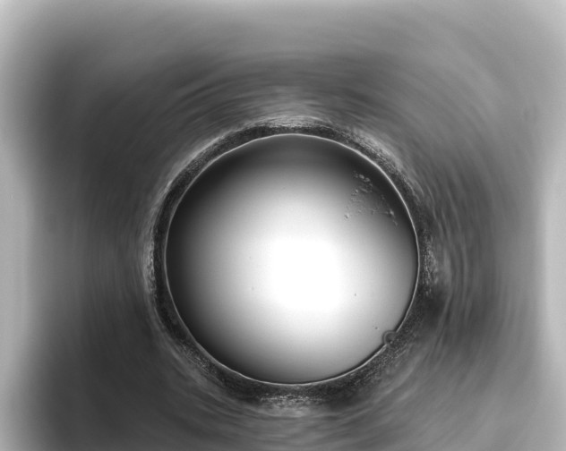 X0000096430535200801311434