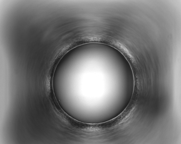 X0000096430537200801311434