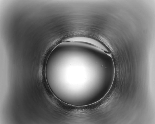 X0000096430538200801311434