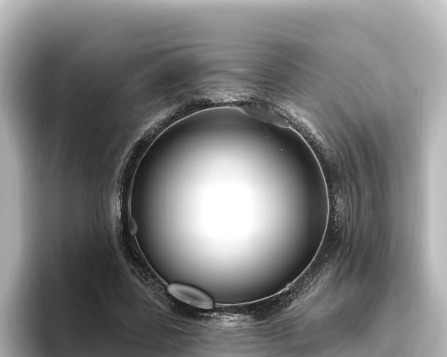 X0000096430539200801311434