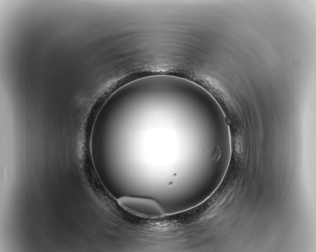 X0000096430540200801311434