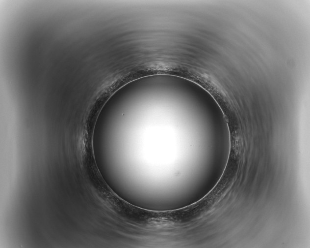 X0000096430544200801311434